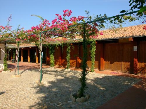 Camping Costa Ponente - image 4