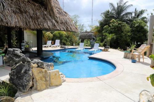 The GECKO BUNGALOW**Beautiful POOL**Free Airport Shuttle