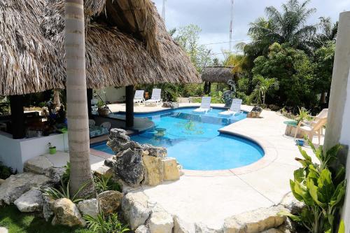 The GECKO BUNGALOW**Beautiful POOL**Free Airport Shuttle