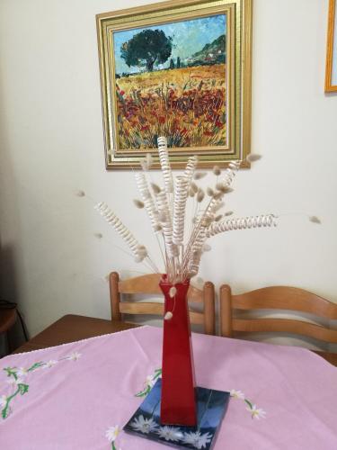 Apartment in Lezhë 
