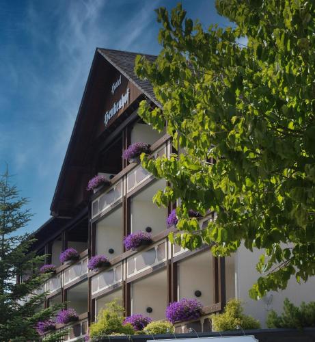 Landhotel Henkenhof Willingen - Hotel - Willingen-Upland