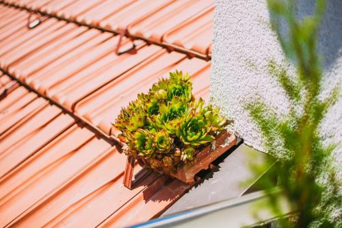 Apartmani Markešić Ramsko jezero Apartmani Markešić Ramsko jezero