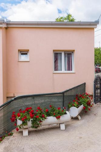 Rooms and Apartments Budiša