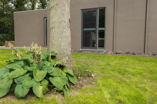 Bed & Breakfast Nummer5, Heusden-Zolder (foto 4)