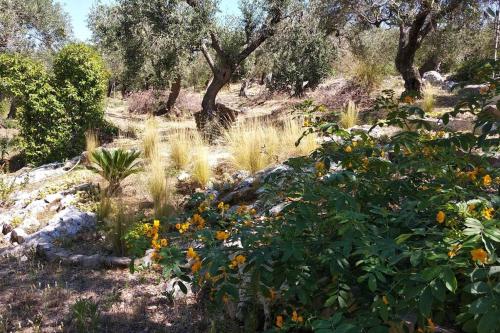 Il giardino di Mary