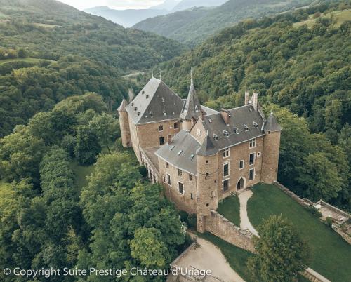 Suite Prestige Château Uriage - Escapade romantique - Apartment - Saint-Martin-dʼUriage