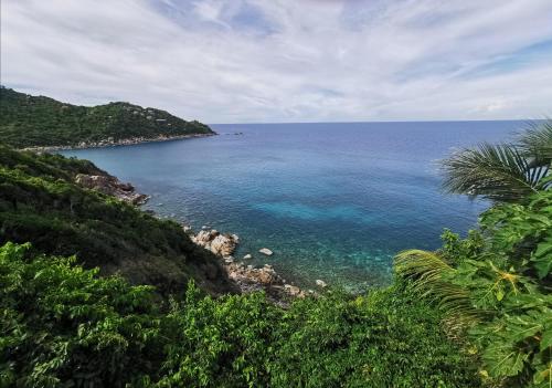 タオ トン ヴィラ 217