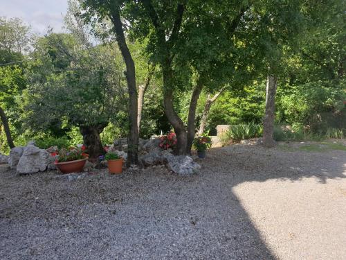 Apartmani Andrea