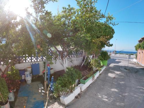  Family Bungalow, Pension in Psalidi