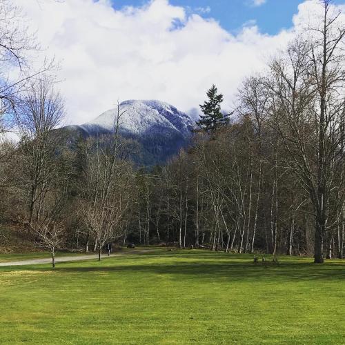 The Wallace Falls Lodge - image 6