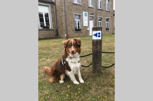 Petite maison à la campagne (Petite maison a la campagne) in Couvin