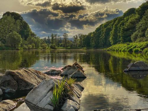 Tweedbank in Tweedbank