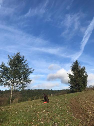 Bildstein's "Kathmandu" Bildstein's "Kathmandu"