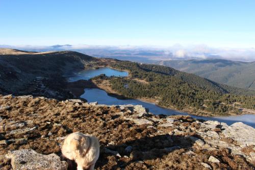 El nido del Mirlo - image 3