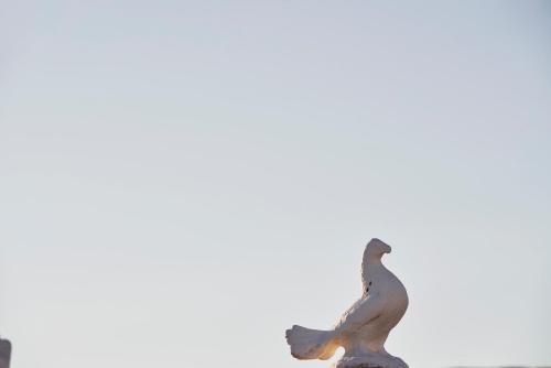 Galation - image 3