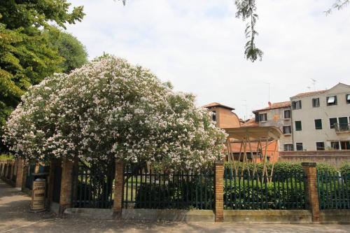 Veneziacentopercento Nicoli Apartment - image 7
