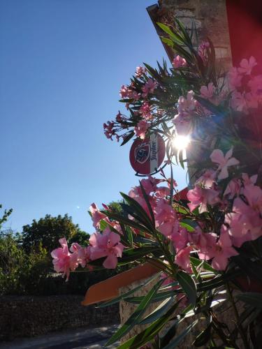 Auberge Chez Laurette