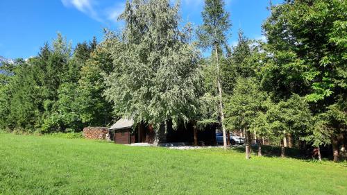 Forrest House in Trstenik