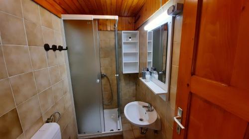 Duša, Forrest House in Trstenik