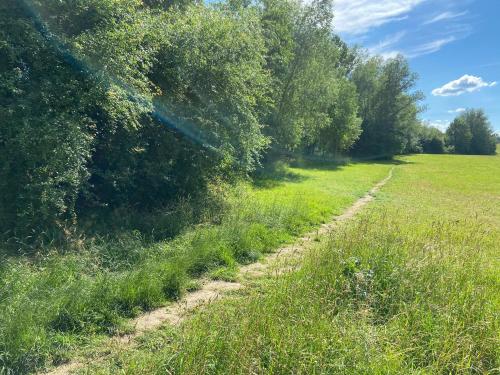STUDIO am Kaitzer Weinberg 2.7km von Bannewitz entfernt