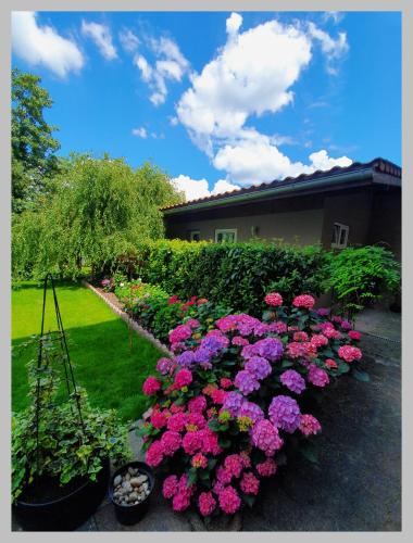 Kolev Apartments in Kelsterbach, Deutschland