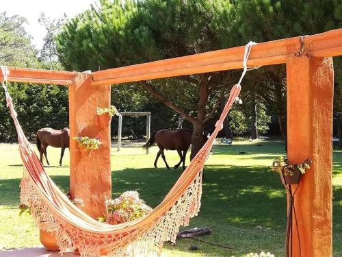  Casa da Quinta in Praia de Mira