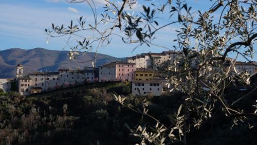 Agriturismo Il Casaletto