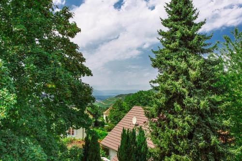Relax Apart Hotel Tannenhof - image 9