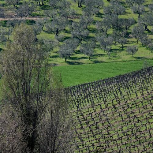 Agriturismo Il Casaletto