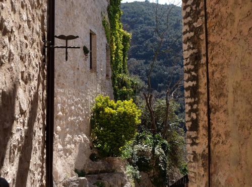 Agriturismo Il Casaletto