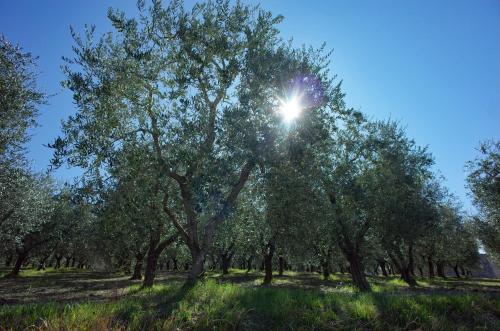 Agriturismo Il Casaletto