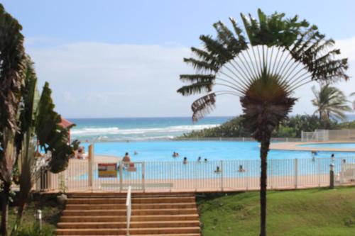 COCONUT LODGE, beach and swimming pool - Location saisonnière - Saint François