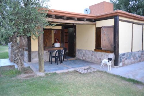 Cabanas Terra Olivo in Coquimbito