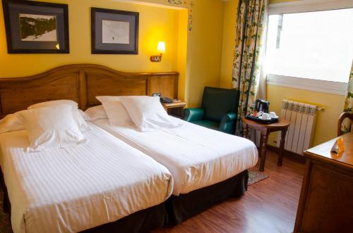 263650365 Ski Plaza Hotel & Wellness