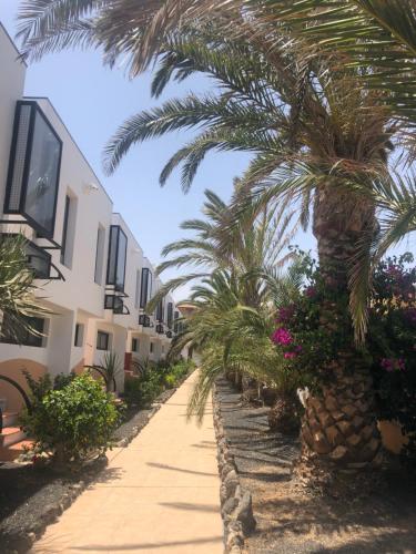 Apartamento PALMS sol y Descanso en Fuerteventura
