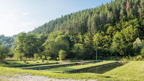 Къща за гости Черна река, Ribarica (foto 6)