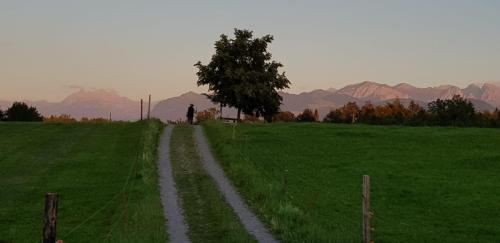  like home, Pension in Rüti bei Wangen