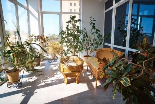 Europa Hotel - image 9