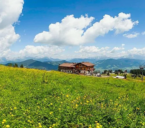 Gasthof Jandlalm in Flachau, Österreich