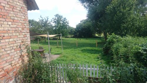 Kummerower See, Dargun (Foto 7)