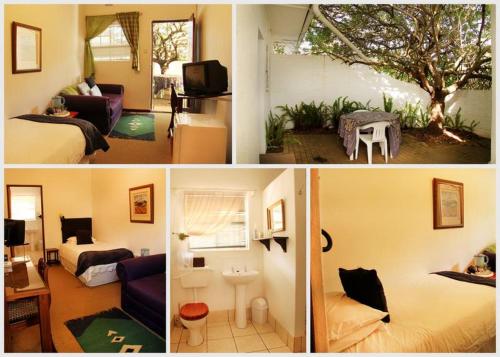 Fynbos Guest House Riversdale