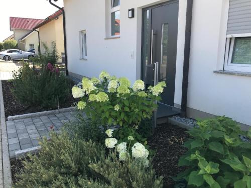 A szálláshely kívülről, Ferienwohnung „Anhaide“ in Lampertheim