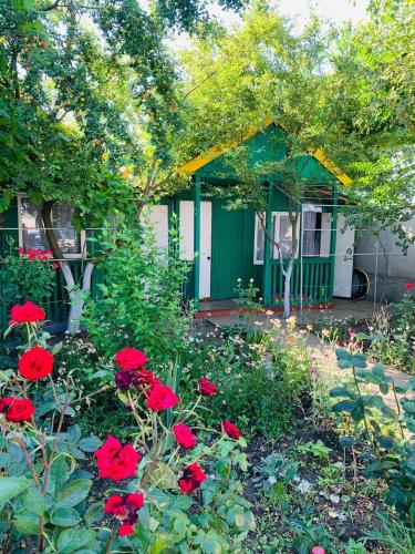 Novaya Dacha