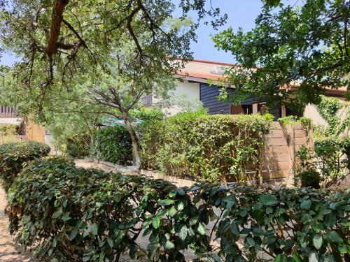 Seignosse Océan, jolie maison au milieu des pins cottage Le Penon