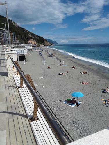 FLAMATAN, Deiva Marina (Foto 4)