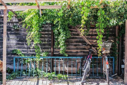 Hostel Durres - image 5
