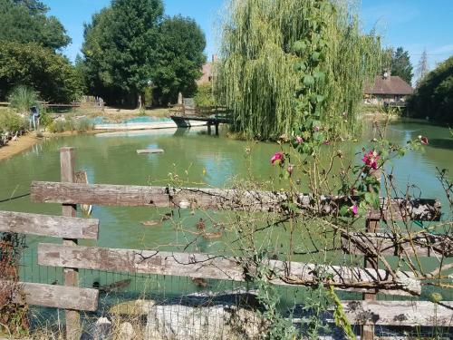 . Ferme bressane les Arums