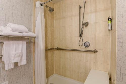 King Room with Roll-In Shower - Disability Access