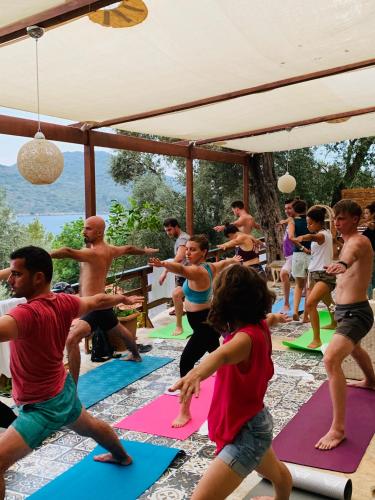 Can Mocamp - image 4