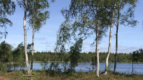 Holiday home in Småland (Holiday home in Smaland) in Alšulta
